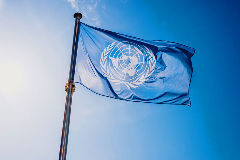 Seminarium: Jak wygrywać przetargi ONZ?!